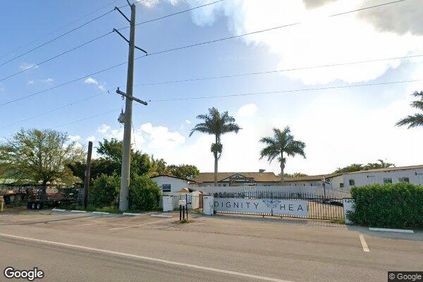 Zinnia Healing at Lake Okeechobee