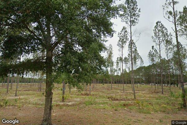 Strive Mental Health