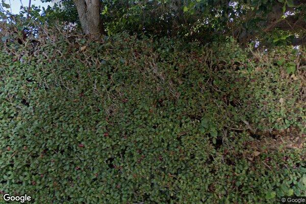 Cornerstone of Southern California