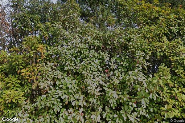 Health Connect Amercia Inc