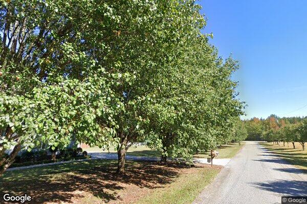 Genesis A New Beginning