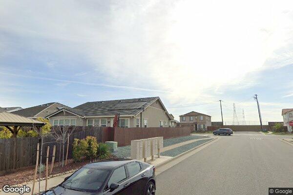 Yellow Wood Recovery