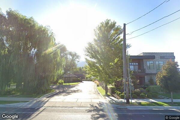 Willow Tree Recovery