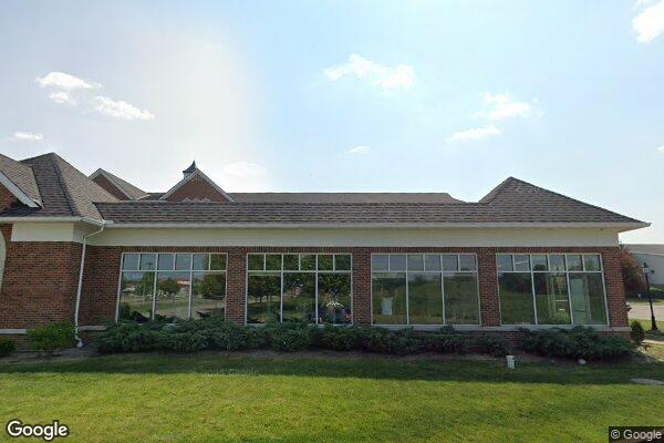 Silver Maple Recovery