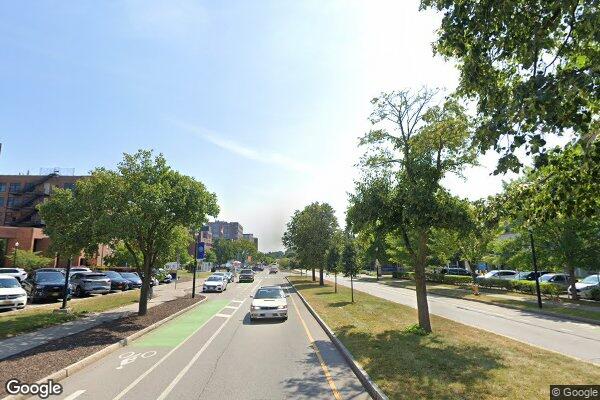 Mental Health and Wellness