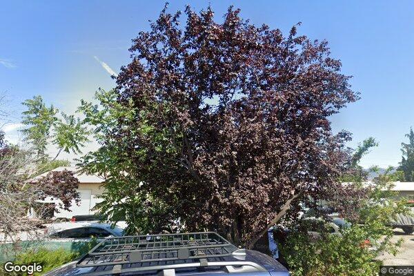 American Behavioral Health Systems Inc