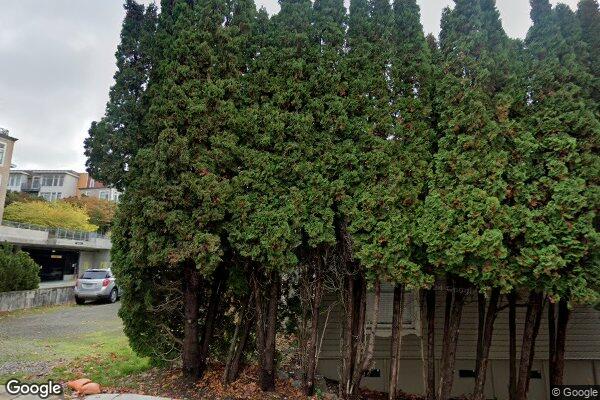 Eagle Harbor Counseling